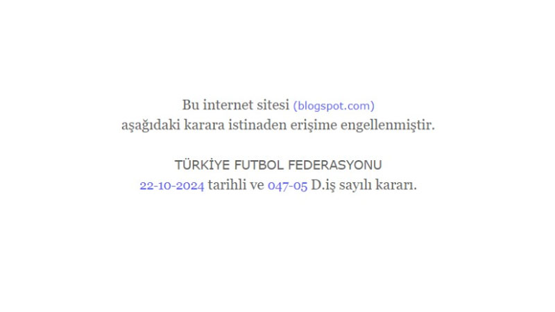 1729663820612-erisimblogggg.jpg