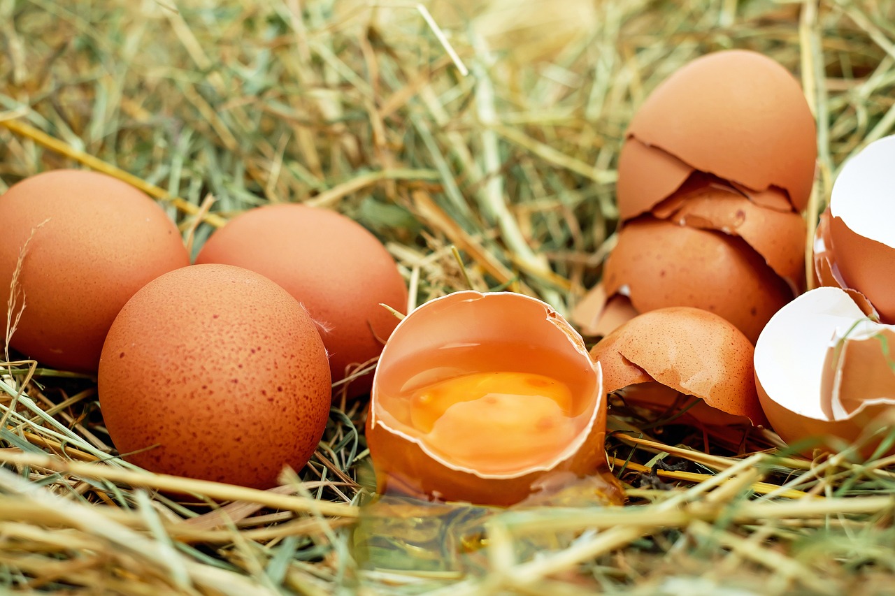 Mehmet Yaşin: Yumurta nasıl kırılır? 2 1731769017011 eggs 1510449 1280